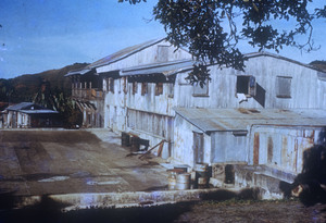 Yauco 1876 Hacienda María-Masini Bo. Rubías 1976 Abruña-1.jpg